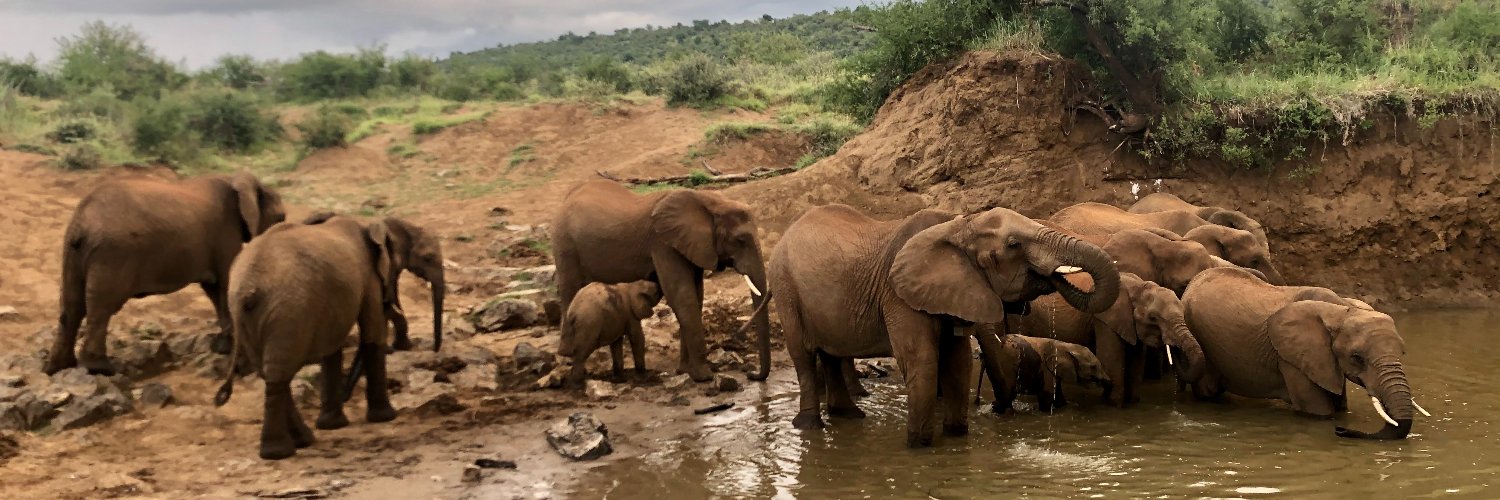 Noga Edelstein banner