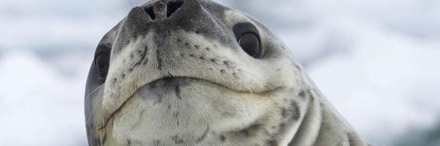 CaarolineRH's profile banner image