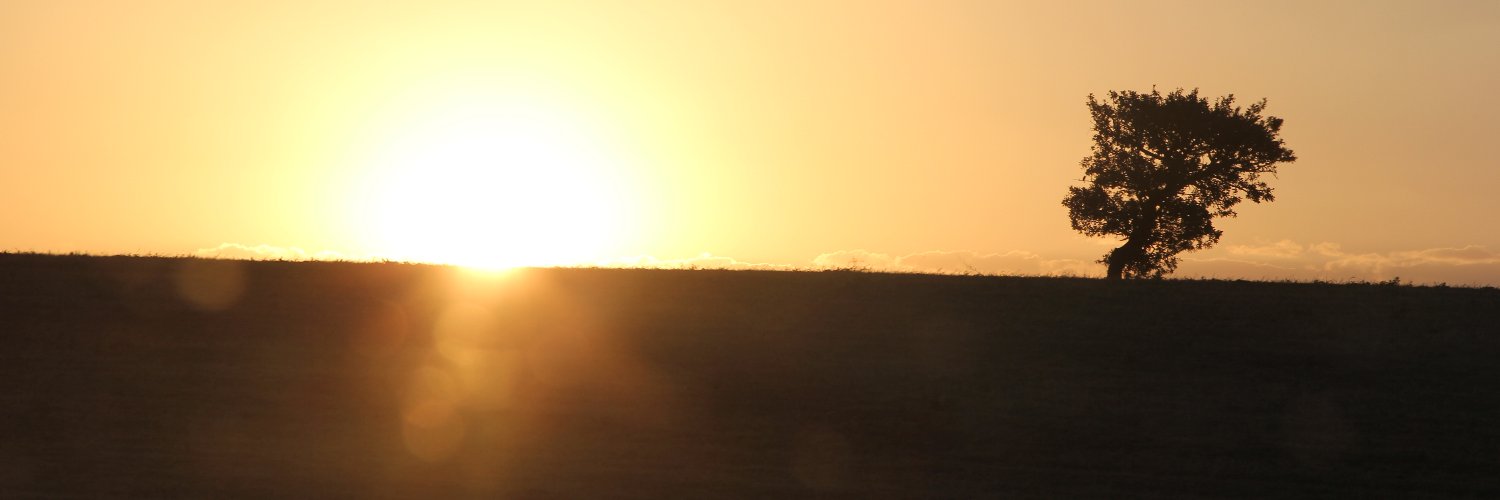 lucidity2040's profile banner image
