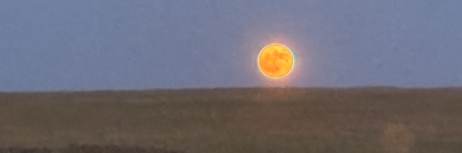 omerrocal's profile banner image