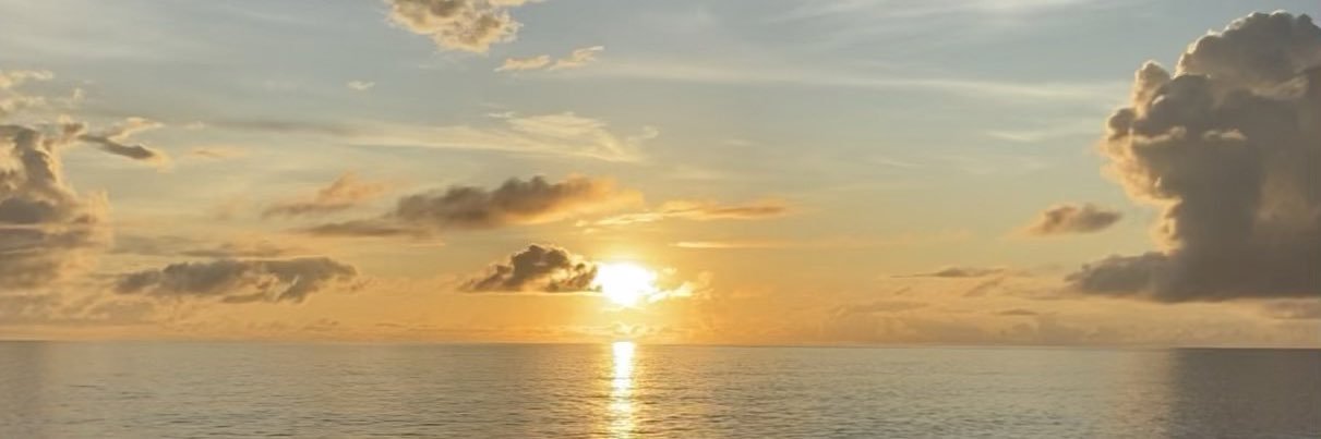 dodooltempee's profile banner image