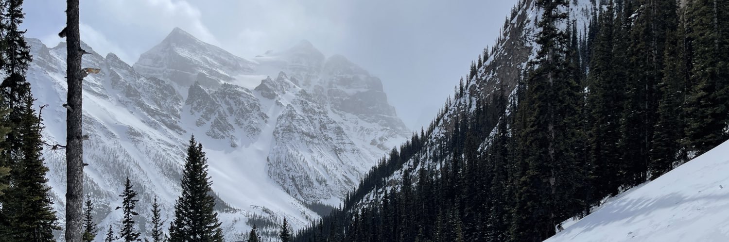 MartinClement's profile banner image
