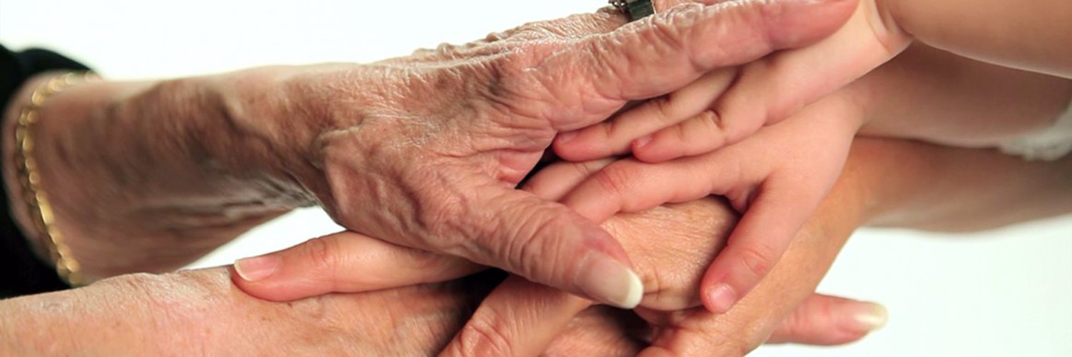 Mercè Boada Rovira banner