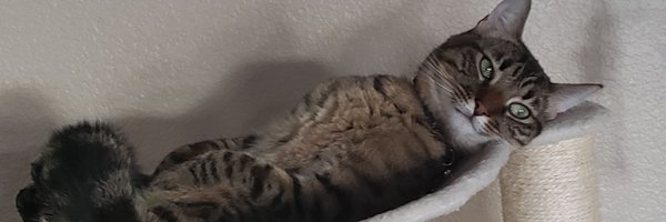 shadrack40 Profile Banner