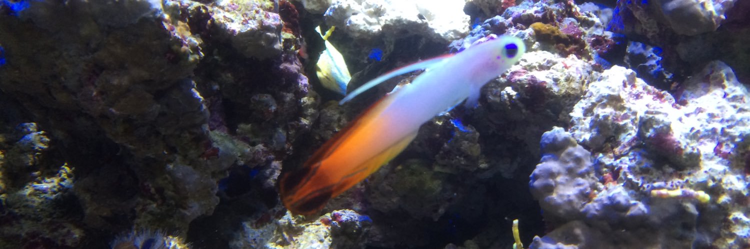 diving47789's profile banner image