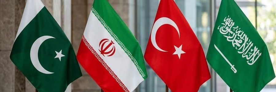 nashaib's profile banner image