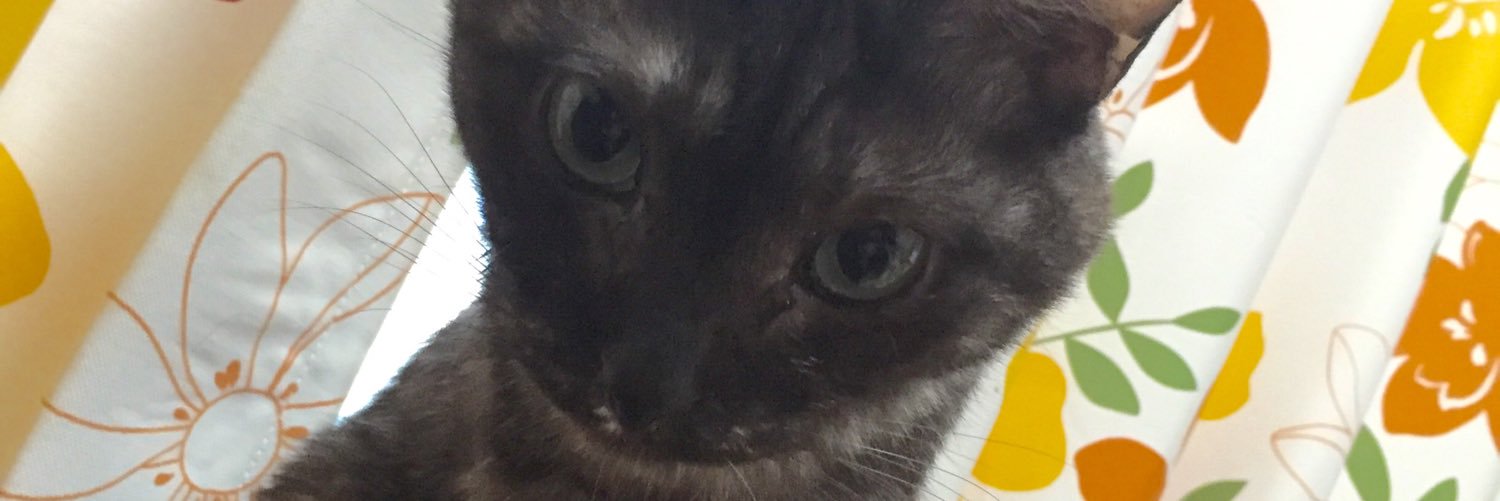 gurineconyaaago's profile banner image