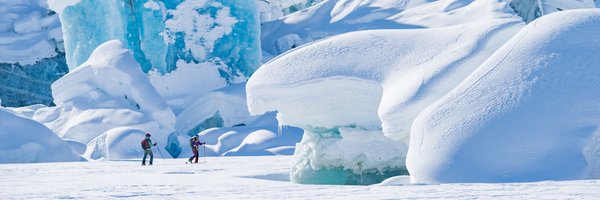 Marmot Profile Banner