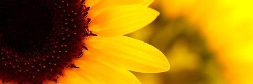 vanmanmark's profile banner image