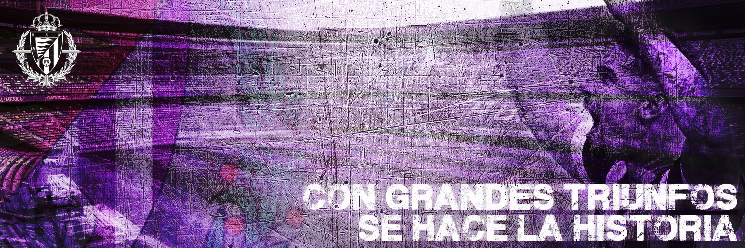 Shay P. Cormac 🟪⬜️🟪 banner