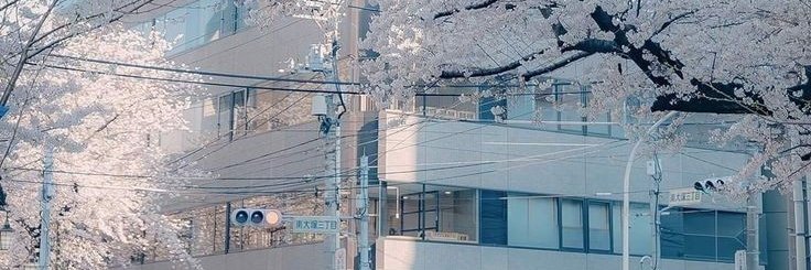 mgsprits's profile banner image