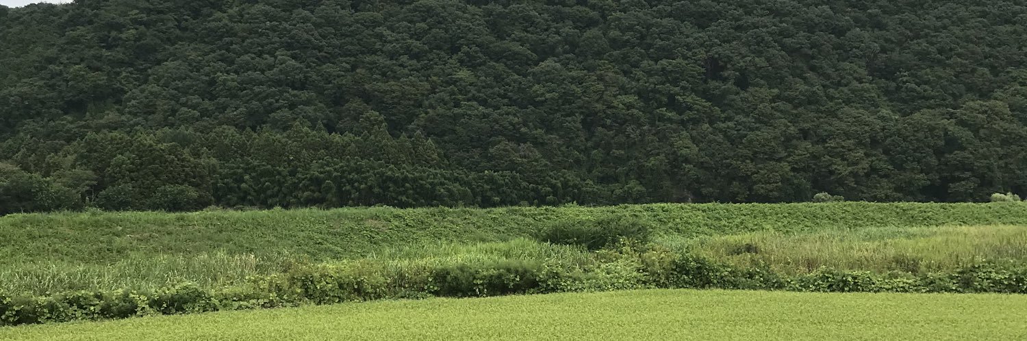 sukoaaaaa's profile banner image