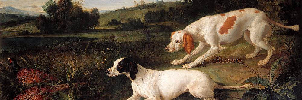 artnimals's profile banner image
