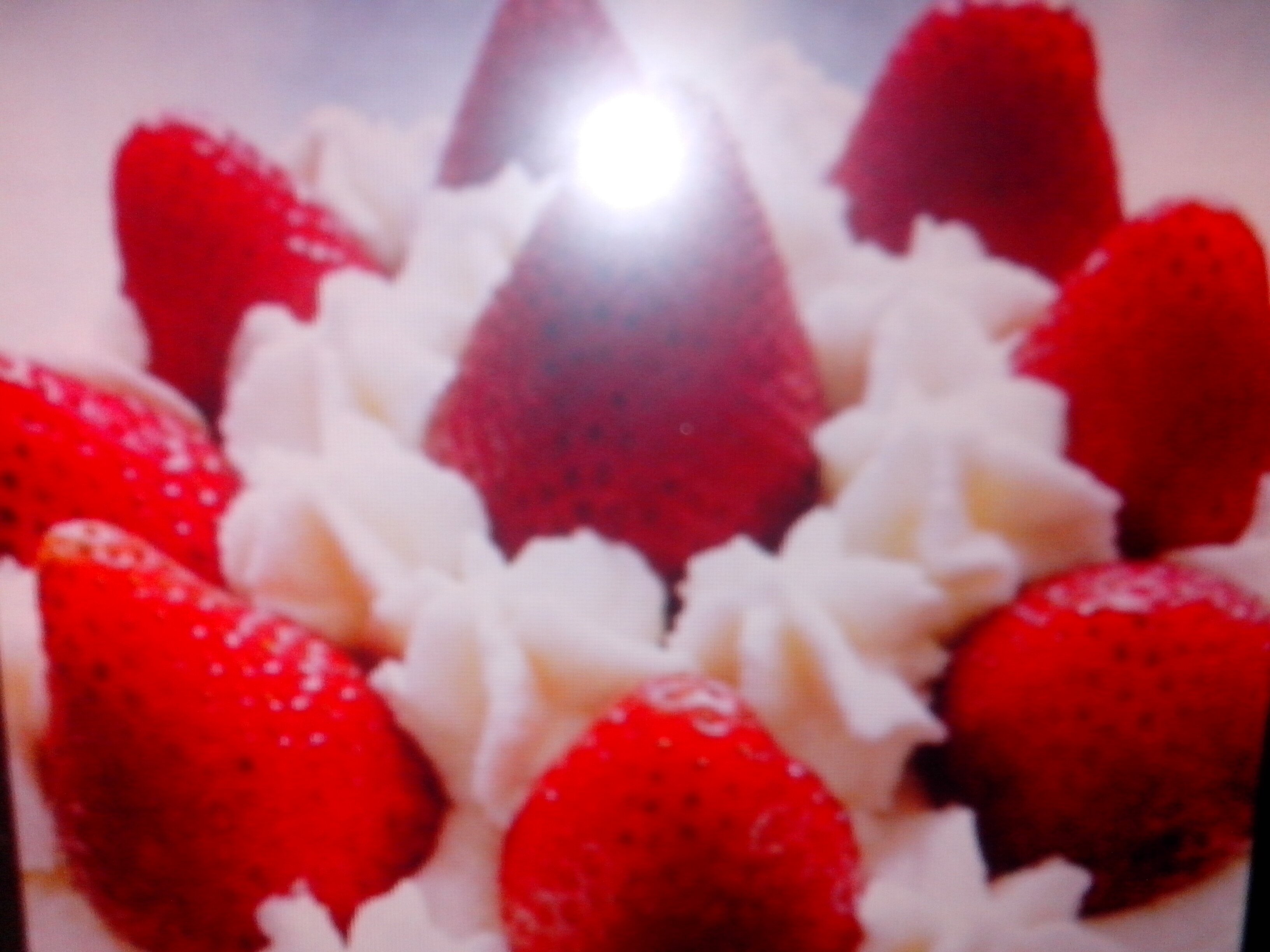 AngelaSols's profile banner image