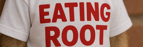 PolycarpHinga Profile Banner