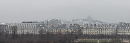ptornielli's profile banner image