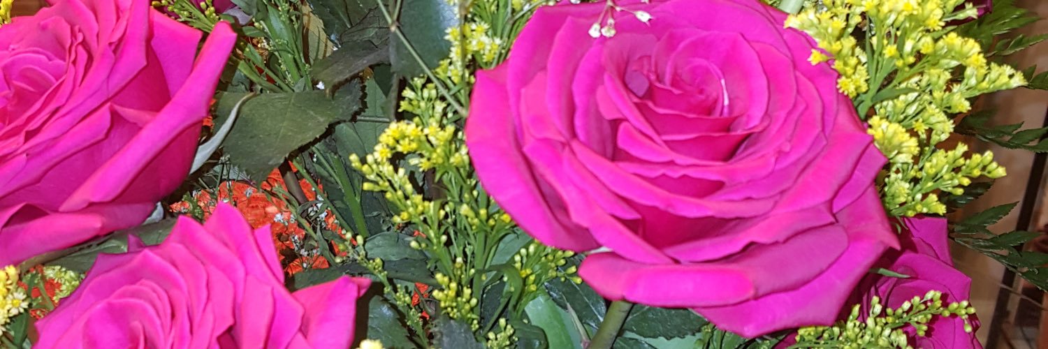 Ahnatrl's profile banner image