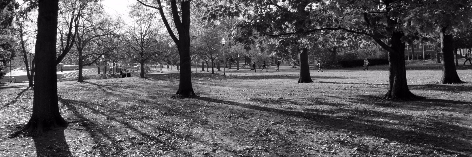 KTofflingPhoto's profile banner image