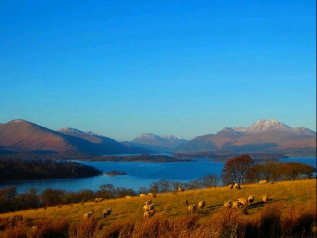 Harvey_Mac15's profile banner image
