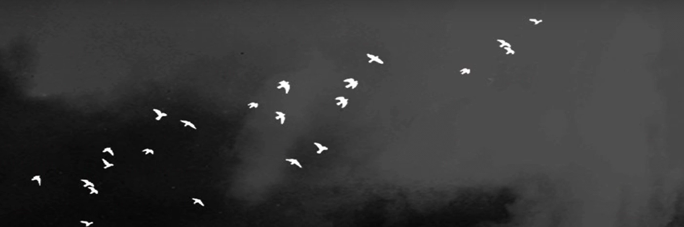 WHOOPER S.C. banner