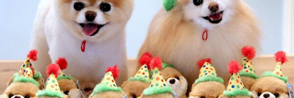 ienping Profile Banner