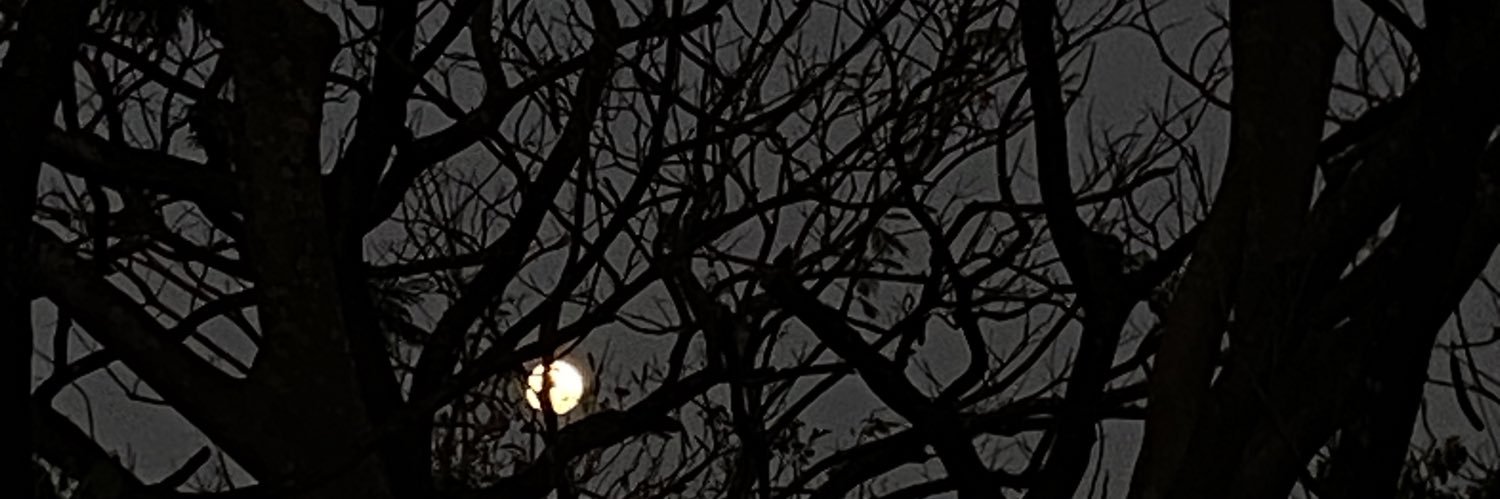 idlemork's profile banner image