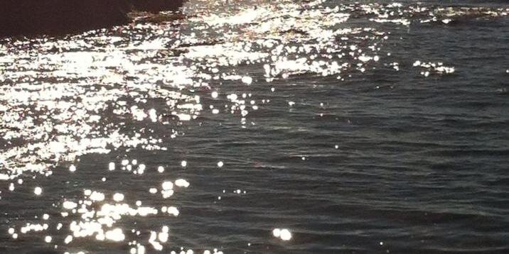 Anna Esteve banner