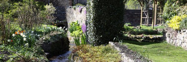 ivywarminster Profile Banner