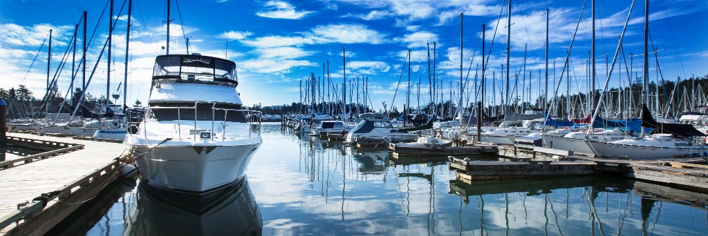 Oak Bay Marine Group banner