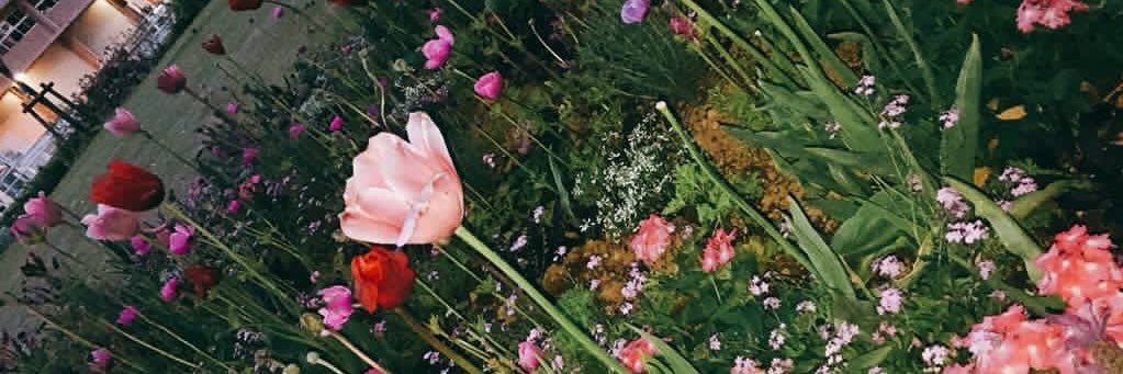 tag_gi_o's profile banner image