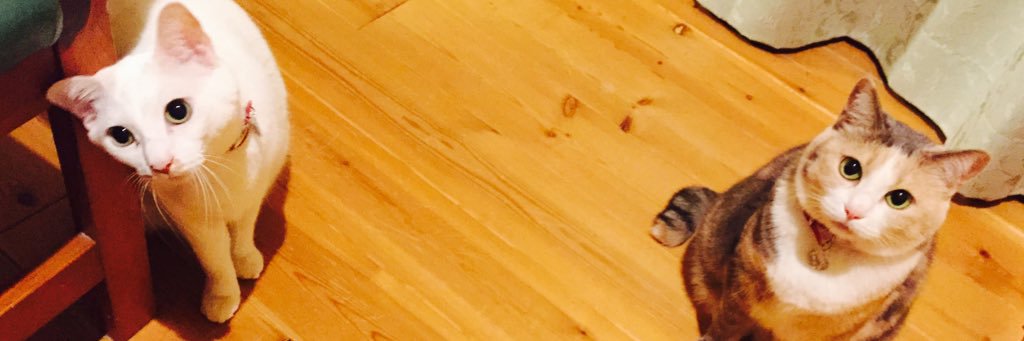 gy_nappo's profile banner image
