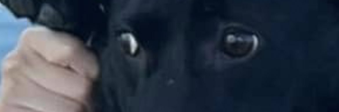 cdgoodman's profile banner image