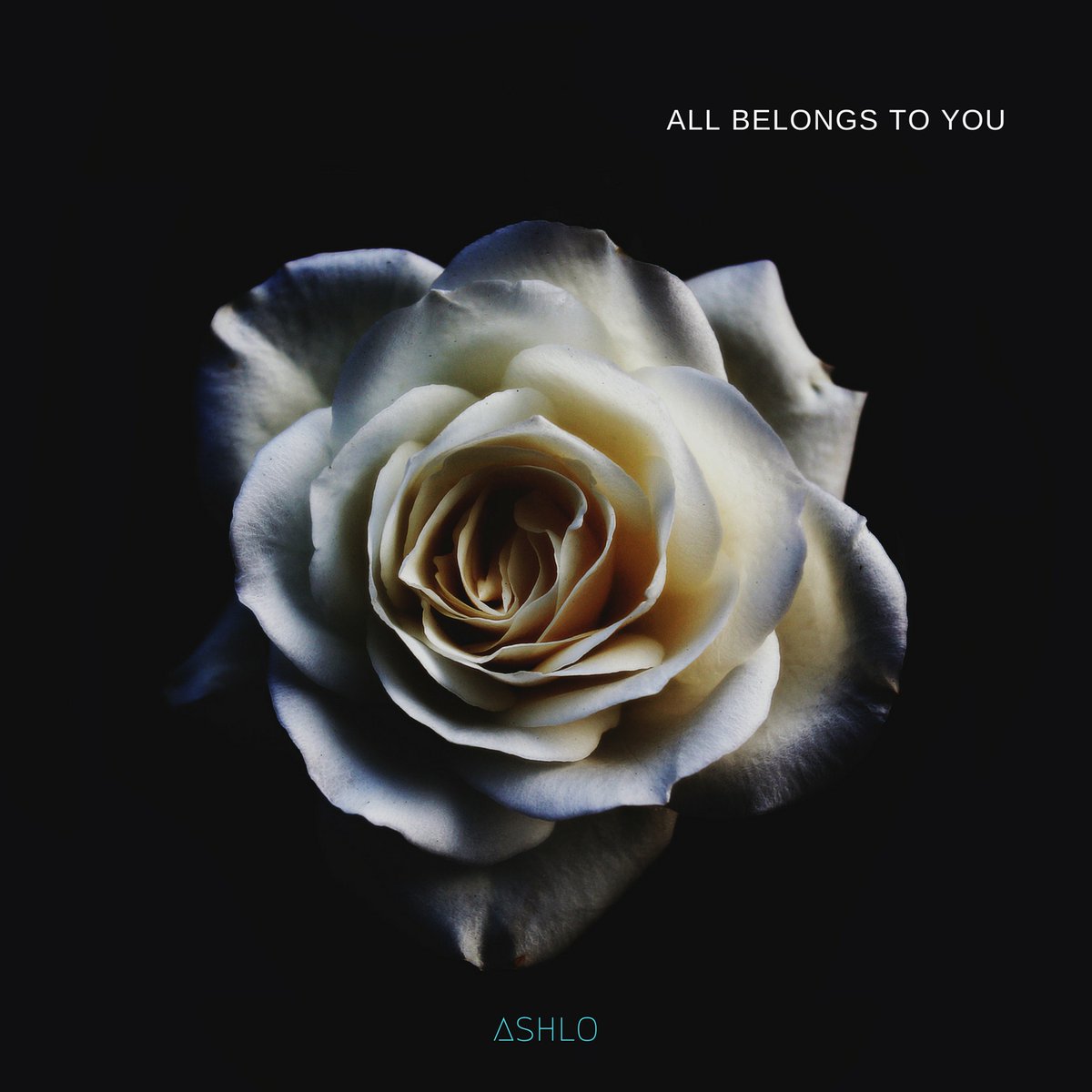 ashlomusic's profile banner image