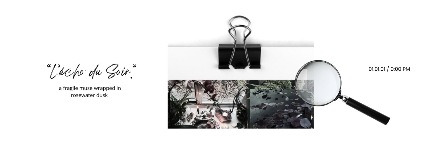 Caelunwe's profile banner image
