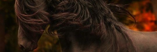 AaronDelAngel8's profile banner image