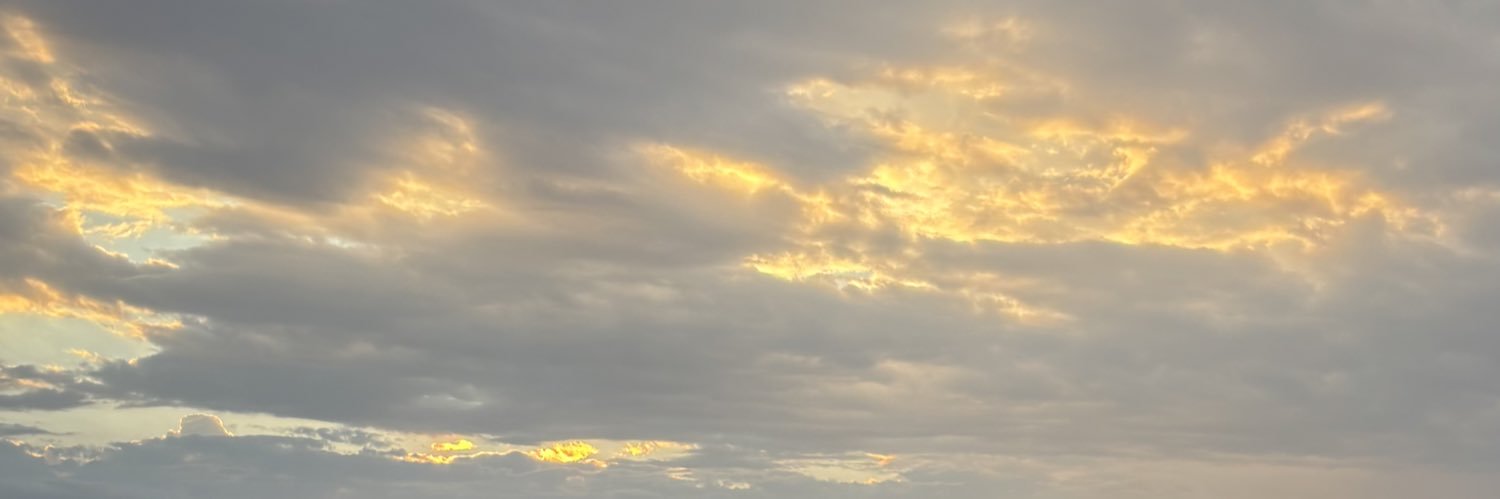 loganryanlemond's profile banner image