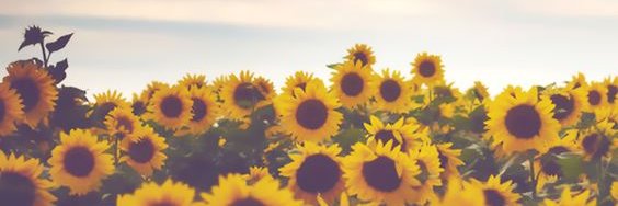 Manarqueen25's profile banner image