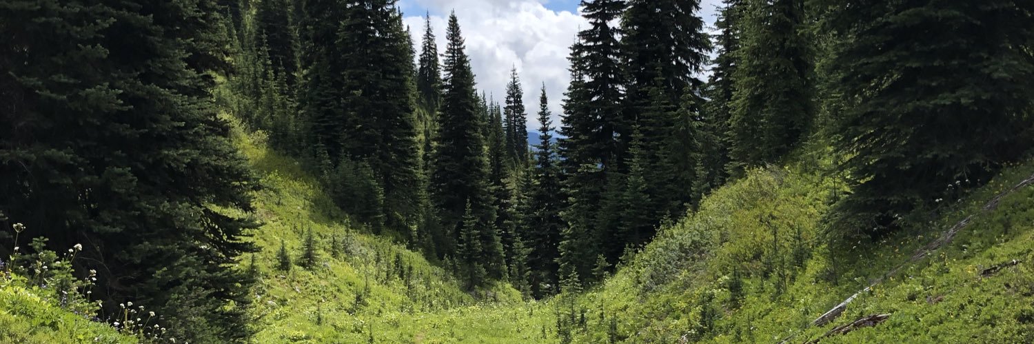 Teapottrail's profile banner image
