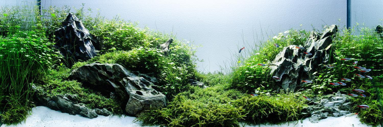 GuideAquarium's profile banner image