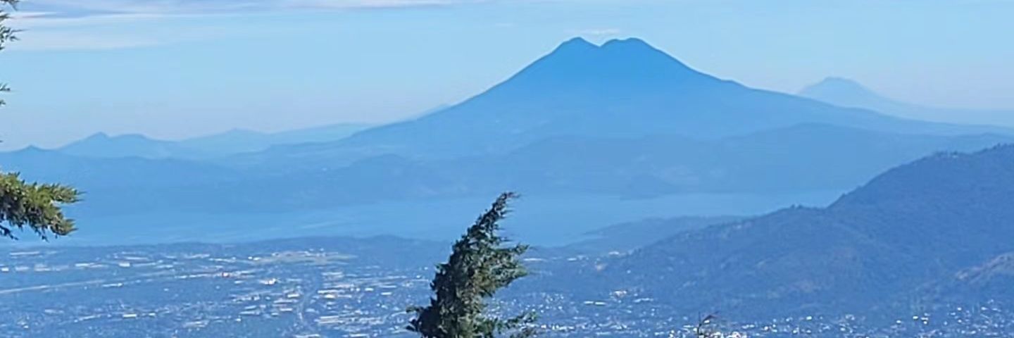 Marcela Solis banner