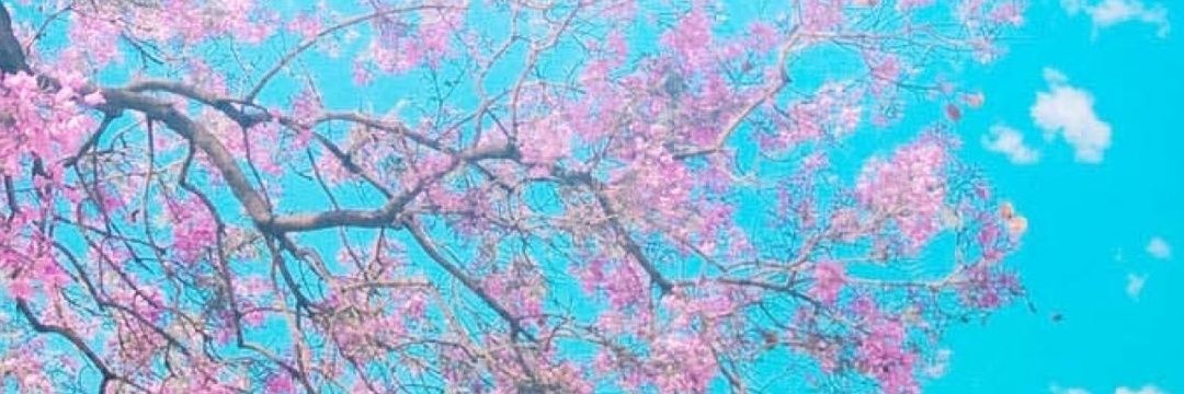GMIsaura's profile banner image