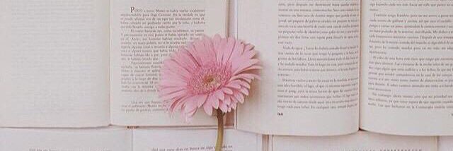 jsbryuji_love's profile banner image