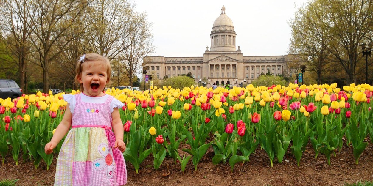 cathylindsey's profile banner image