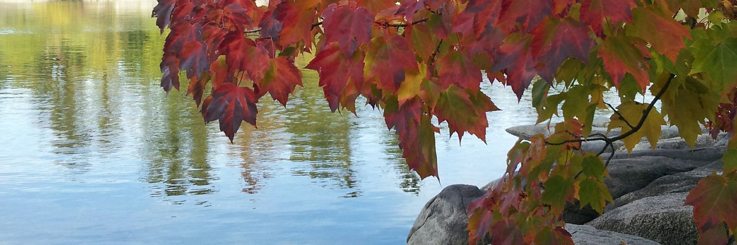 SarahLevesque's profile banner image