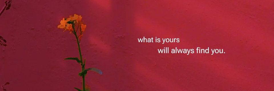 newtellaf's profile banner image