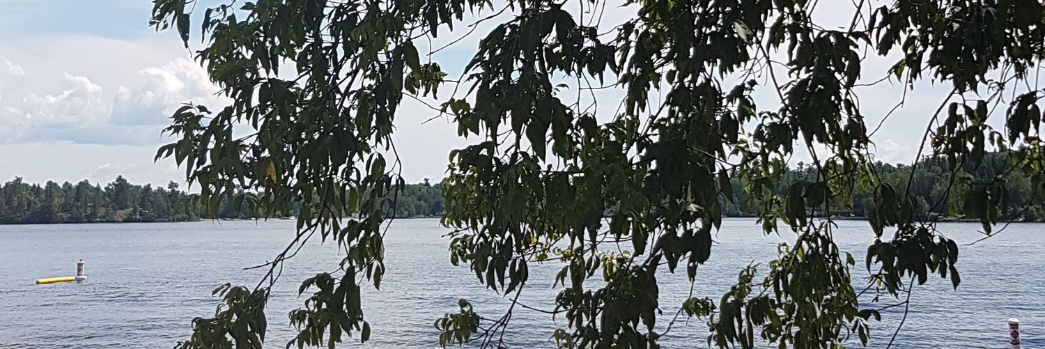 vidbuff's profile banner image