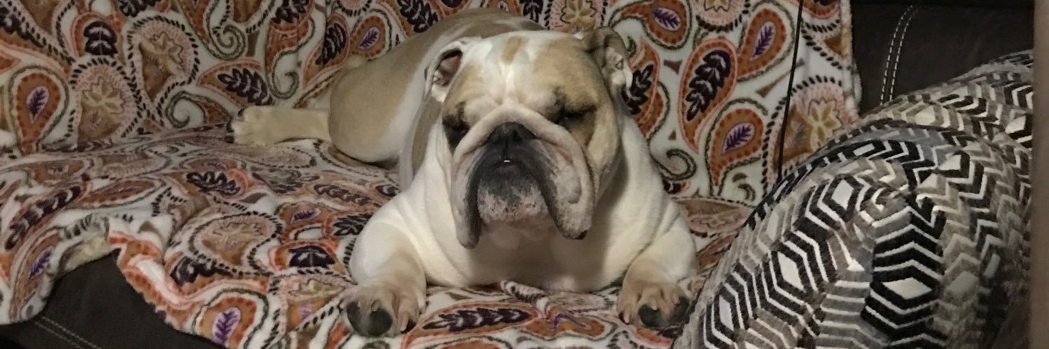 JohnnyOhm's profile banner image