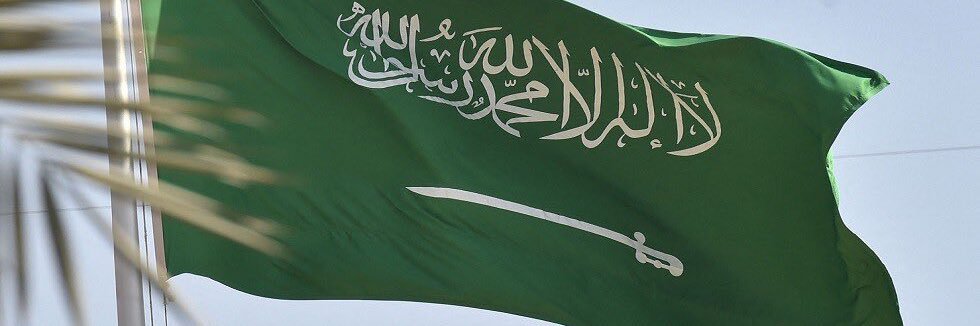 فايز 🇸🇦⚔️ banner