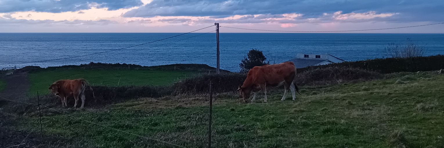 Asturias banner