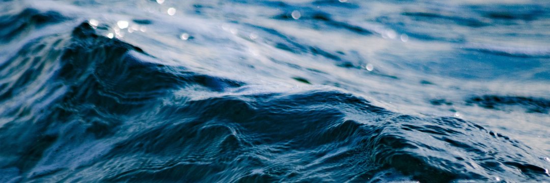 SkipperBuds's profile banner image